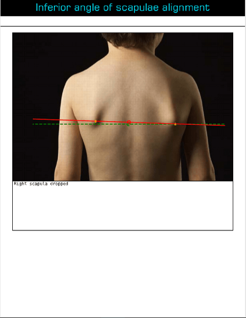 Posture-Analysis-additonal-data-2